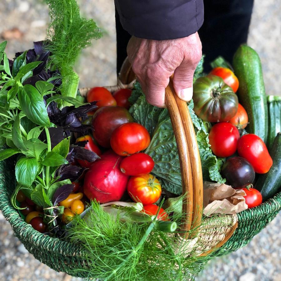 Gite A La Ferme De Verdurette Cordes Sur Ciel Εξωτερικό φωτογραφία