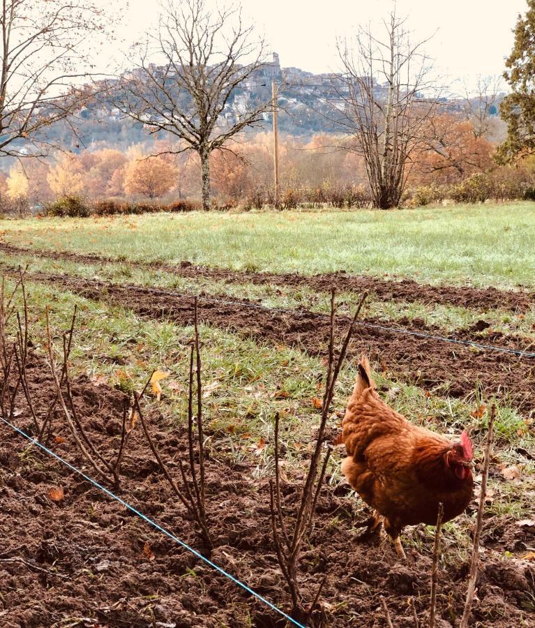 Gite A La Ferme De Verdurette Cordes Sur Ciel Εξωτερικό φωτογραφία