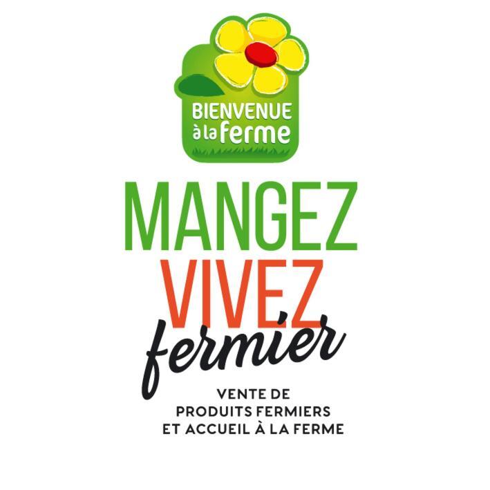 Gite A La Ferme De Verdurette Cordes Sur Ciel Εξωτερικό φωτογραφία
